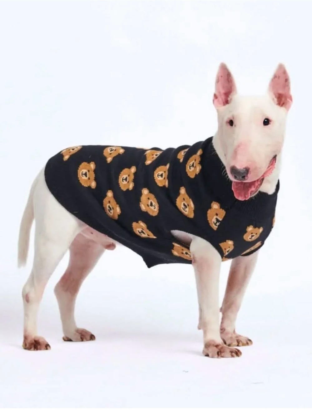 Black Teddy Bear Knit Dog Sweater - Spark Paws